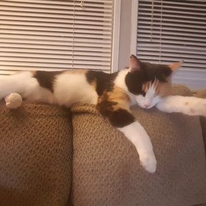 Meet your Posher, Amy